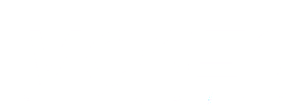 MOSES SECURITY